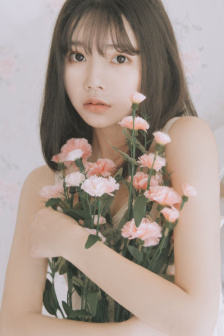 龙珠Z